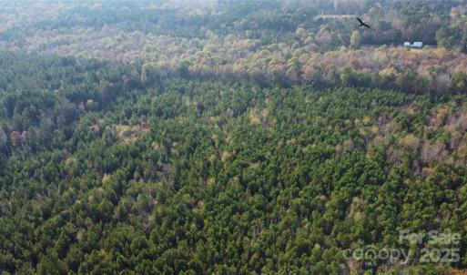 Photo #9 of 2351 Reges Store, Nashville, NC