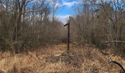 Photo #45 of 2351 Reges Store, Nashville, NC