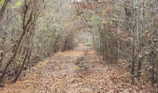 Photo #25 of 2351 Reges Store, Nashville, NC