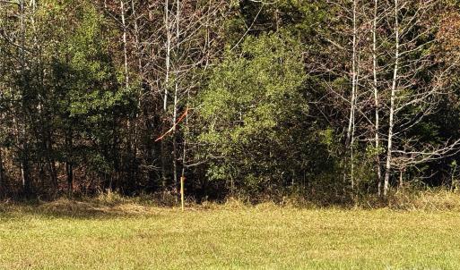 Photo #9 of 992 Potter, Lancaster, SC