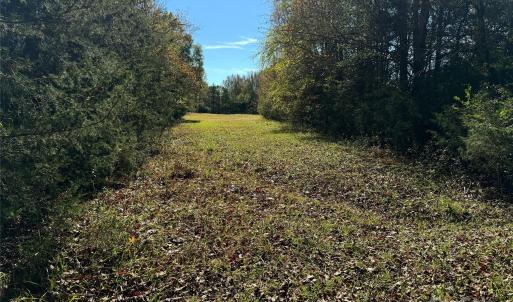 Photo #6 of 992 Potter, Lancaster, SC