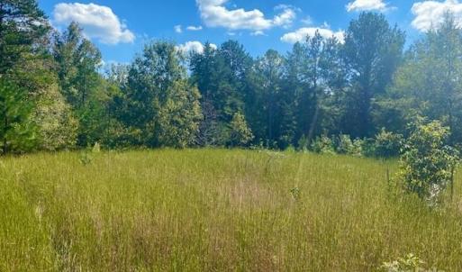 Photo #1 of Burris, Sharon, SC