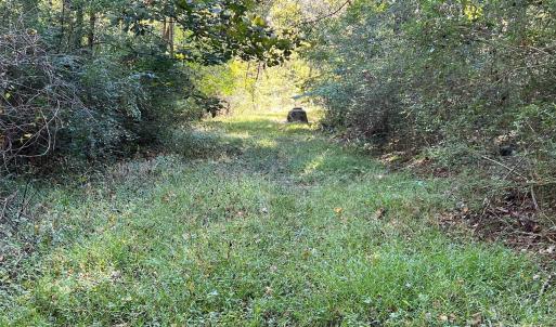 Photo #5 of Square, Monroe, NC