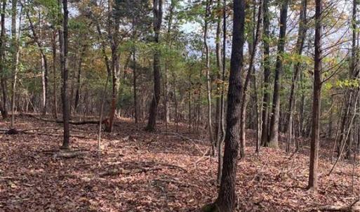 Photo #5 of 6244 RA Austin, Marshville, NC