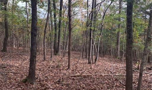 Photo #2 of 6244 RA Austin, Marshville, NC