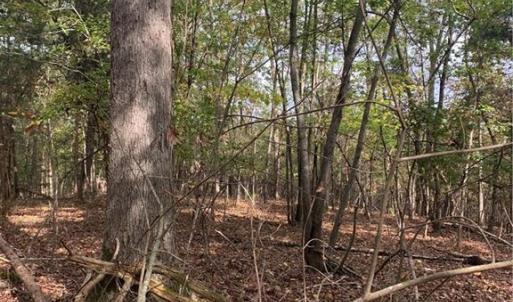 Photo #6 of 6244 RA Austin, Marshville, NC