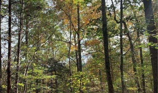 Photo #8 of 6244 RA Austin, Marshville, NC