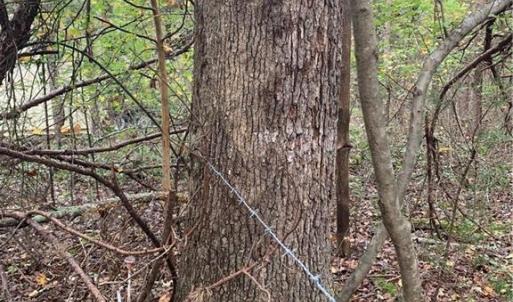 Photo #3 of 6244 RA Austin, Marshville, NC