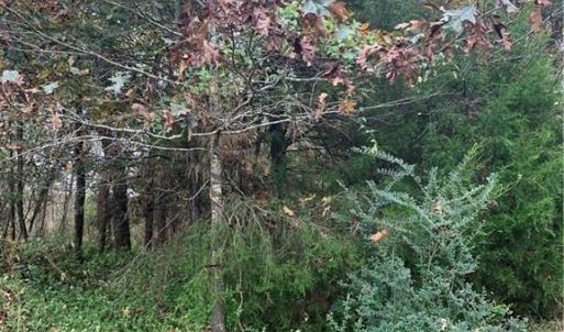 Photo #7 of 6244 RA Austin, Marshville, NC