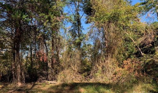 Photo #3 of 120 Lakeshore, Chesnee, SC