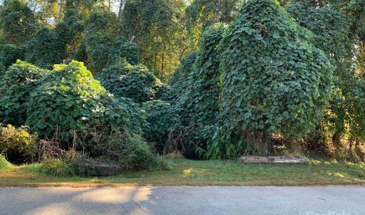 Photo #2 of 169 Lakeshore, Chesnee, SC
