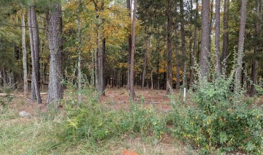 Photo #5 of 3.447 acres Spratt, York, SC