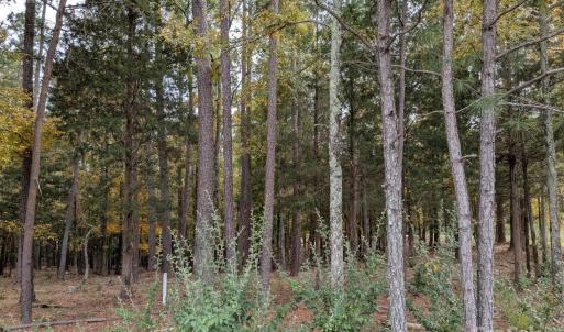 Photo #4 of 3.447 acres Spratt, York, SC