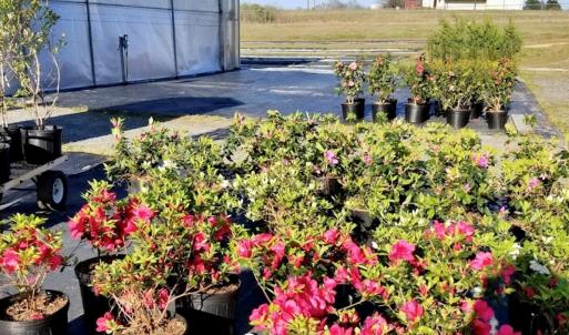Photo #29 of 32544 Hwy 9, Pageland, SC