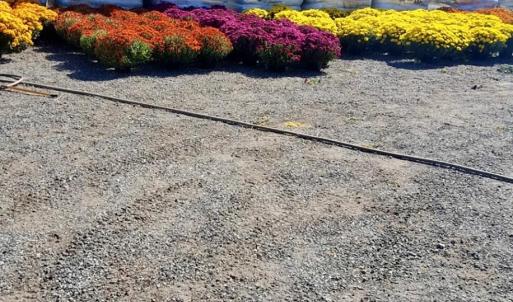 Photo #36 of 32544 Hwy 9, Pageland, SC