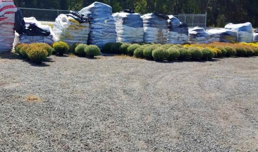 Photo #37 of 32544 Hwy 9, Pageland, SC