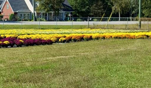 Photo #31 of 32544 Hwy 9, Pageland, SC