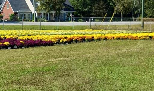Photo #31 of 32544 Hwy 9, Pageland, SC