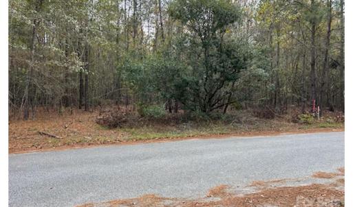 Photo #2 of Lot 4 Hudson, Summerton, SC