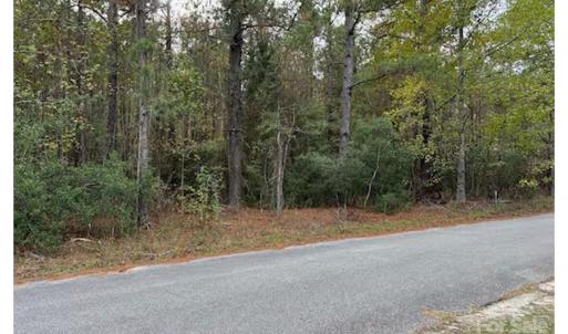 Photo #2 of Lot 5 Hudson, Summerton, SC
