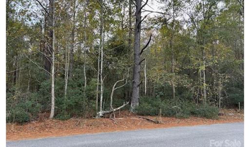 Photo #2 of Lot 6 Hudson, Summerton, SC