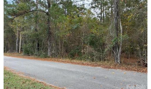 Photo #2 of Lot 7 Hudson, Summerton, SC
