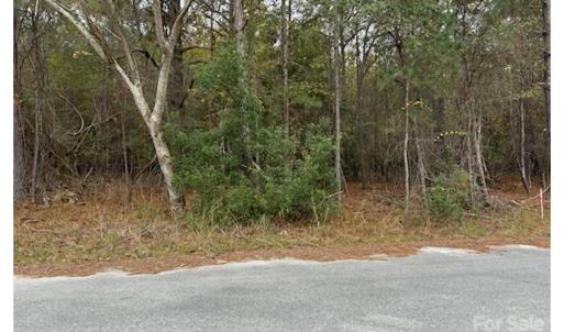 Photo #2 of Lot 8 Hudson, Summerton, SC