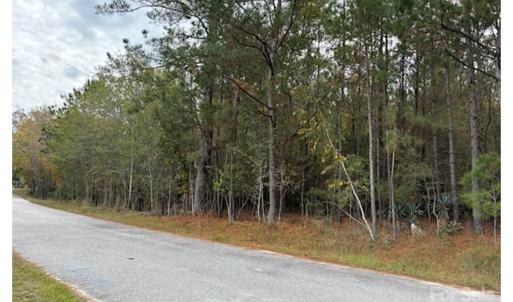 Photo #2 of Lot 9 Hudson, Summerton, SC