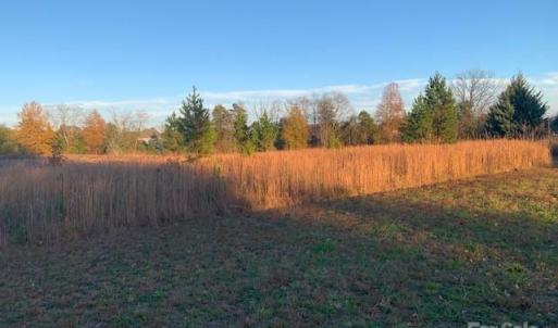 Photo #5 of 8811 Hickory Ridge, Harrisburg, NC