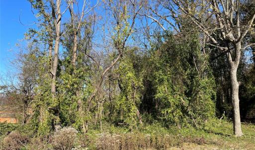 Photo #4 of TBD Blythe Mill, Waxhaw, NC