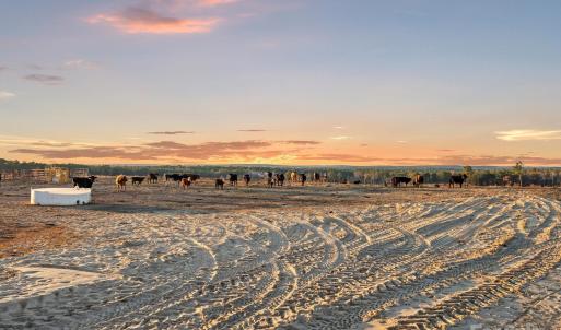 Photo #6 of 2632 Mcbride, Patrick, SC