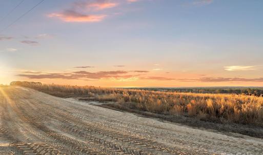 Photo #4 of 2632 Mcbride, Patrick, SC