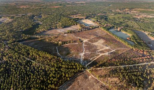 Photo #10 of 2632 Mcbride, Patrick, SC