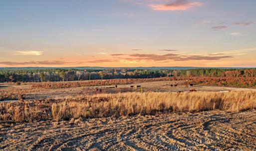 Photo #5 of 2632 Mcbride, Patrick, SC