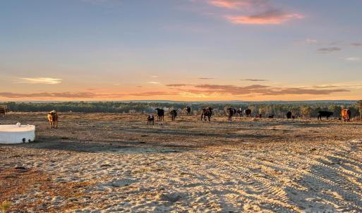 Photo #7 of 2632 Mcbride, Patrick, SC