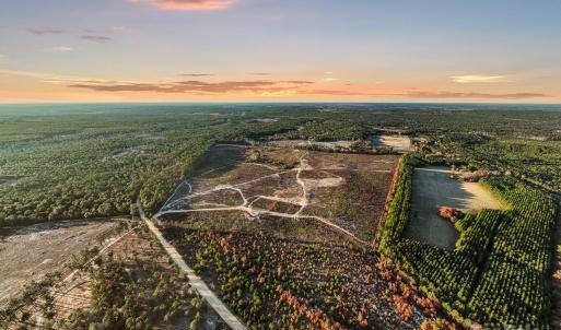 Photo #16 of 2632 Mcbride, Patrick, SC