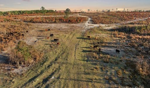 Photo #17 of 2632 Mcbride, Patrick, SC