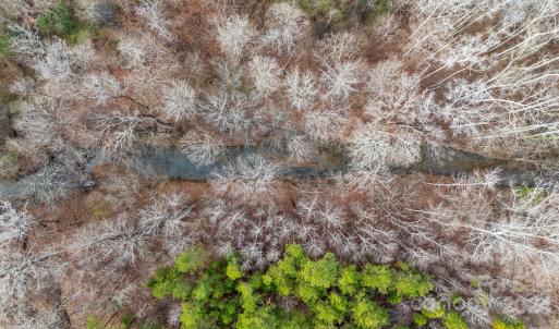 Photo #16 of 609 Copperfield, Lexington, NC