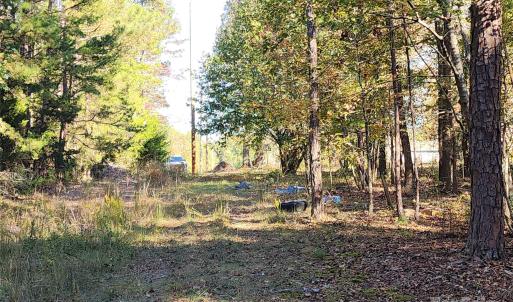 Photo #12 of TBD Stallion, Lancaster, SC