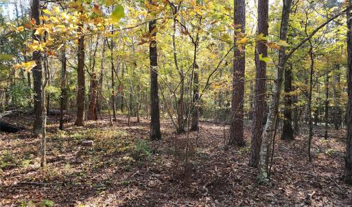 Photo #11 of TBD Stallion, Lancaster, SC