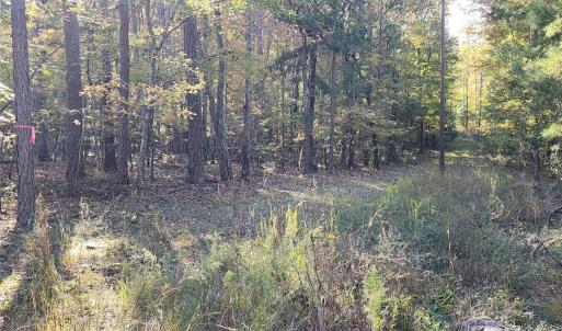 Photo #10 of TBD Stallion, Lancaster, SC