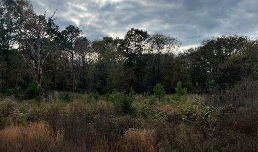 Photo #3 of Spring Branch, Laurinburg, NC