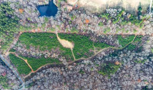 Photo #3 of Oak, Norwood, NC
