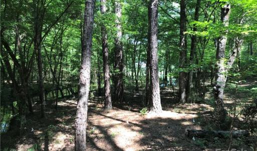 Photo #10 of 2793 Catawba, Great Falls, SC