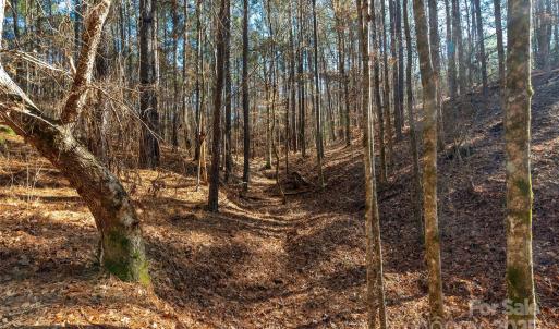 Photo #28 of Old Douglass, Blackstock, SC