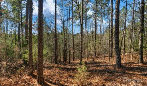 Photo #13 of Old Douglass, Blackstock, SC