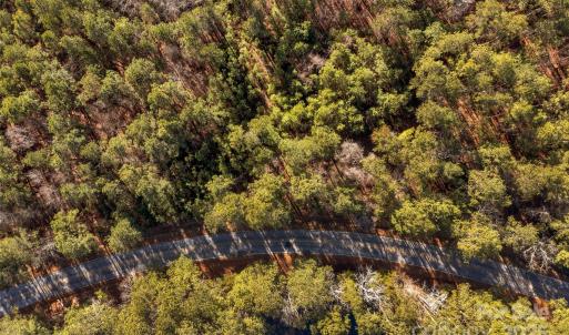 Photo #14 of Old Douglass, Blackstock, SC