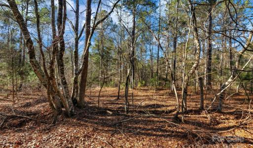 Photo #15 of Old Douglass, Blackstock, SC