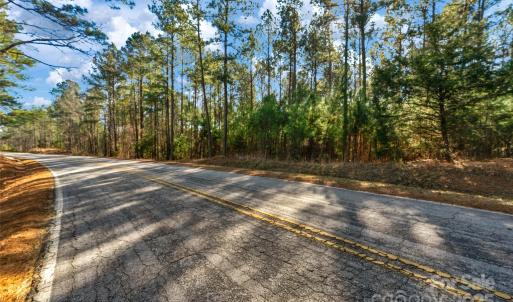 Photo #8 of Old Douglass, Blackstock, SC