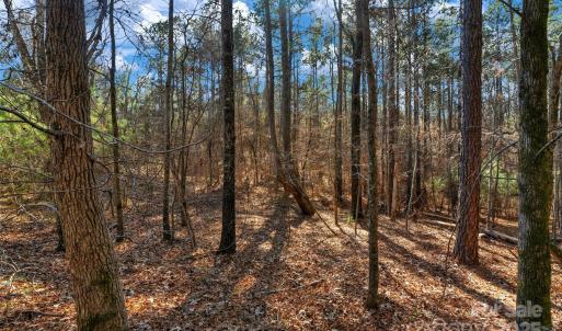 Photo #10 of Old Douglass, Blackstock, SC